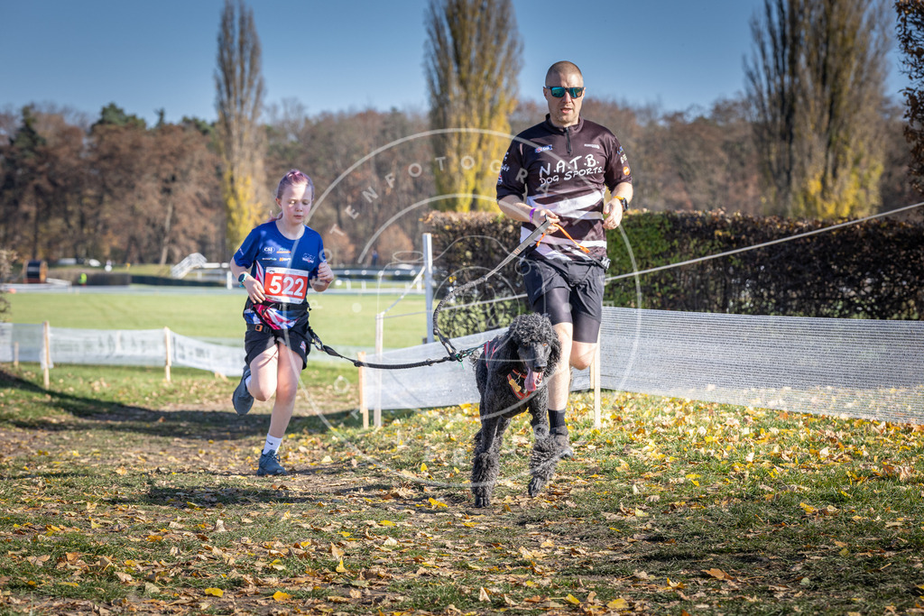 CaniXpix_DV3A8141 | Hundefotografie, Tierfotograf, Pfotenfotografie, Fotoshooting Hund, Hunde Portrait, Hundesport, Hundeportraits, Heideshooting, Hunde, Sportfotograf, Hundefotograf, Turnierhundsport, THS,  - Realisiert mit Pictrs.com