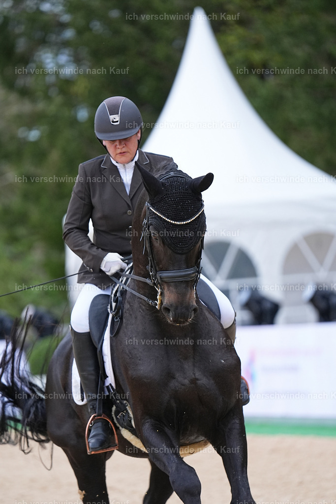 04_2-214-Dressur M__ -Marixx-3067 | working equitationturnier fotograf videograf stoibphotography marixx film working equitation deutschland reitsport turnierfotografie eventfotografie equestrian events