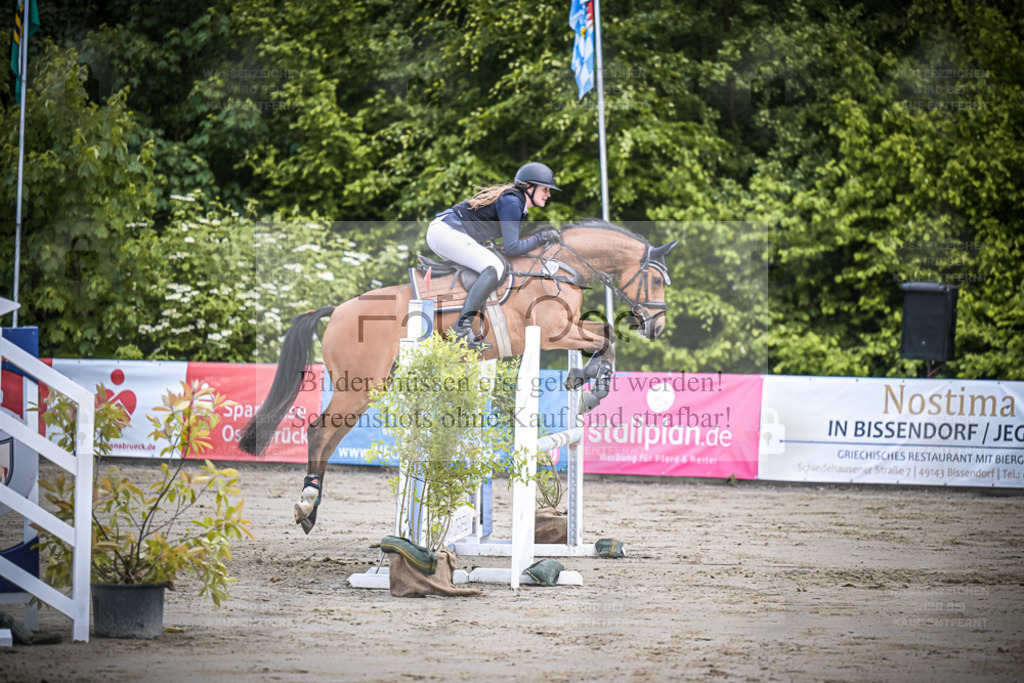 DOS_1221 | Entdecke hochwertige Reitturnierfotos von Foto Oger. Professionell, emotional und authentisch – jetzt Lieblingsmomente im Shop bestellen. - Realisiert mit Pictrs.com