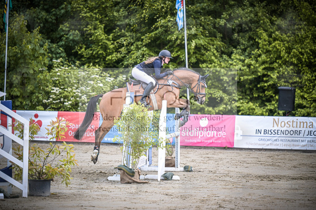 DOS_1221 | Entdecke hochwertige Reitturnierfotos von Foto Oger. Professionell, emotional und authentisch – jetzt Lieblingsmomente im Shop bestellen. - Realized with Pictrs.com