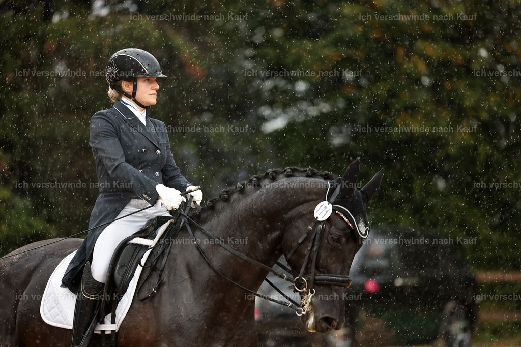8_2-171-DRESSUR S_  -StoibPH-4492 | working equitationturnier fotograf videograf stoibphotography marixx film working equitation deutschland reitsport turnierfotografie eventfotografie equestrian events
