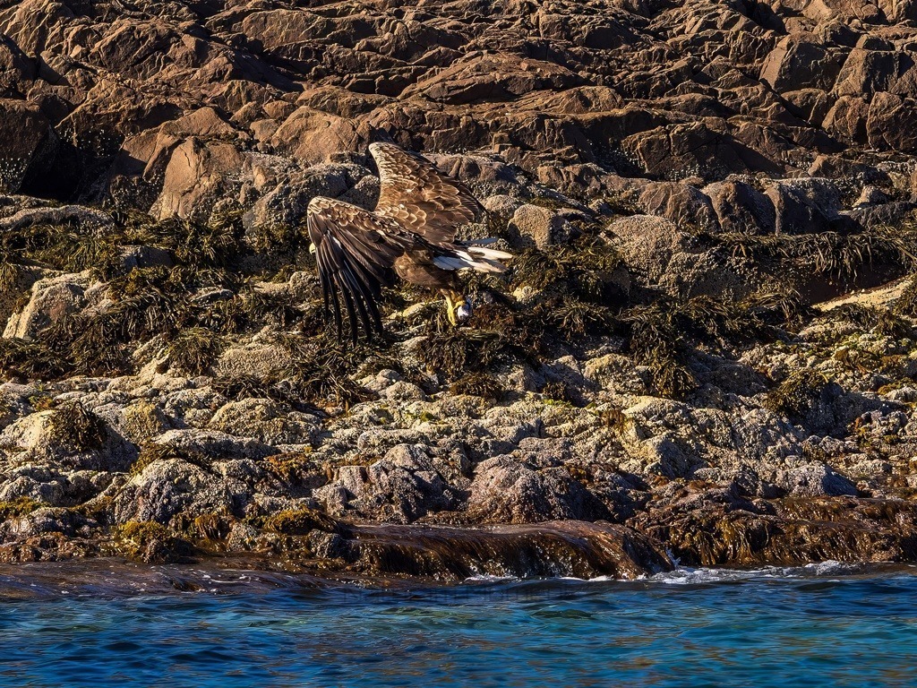 P1001645-LR-topaz-denoise-enhance | Natur im Moment - Realisiert mit Pictrs.com