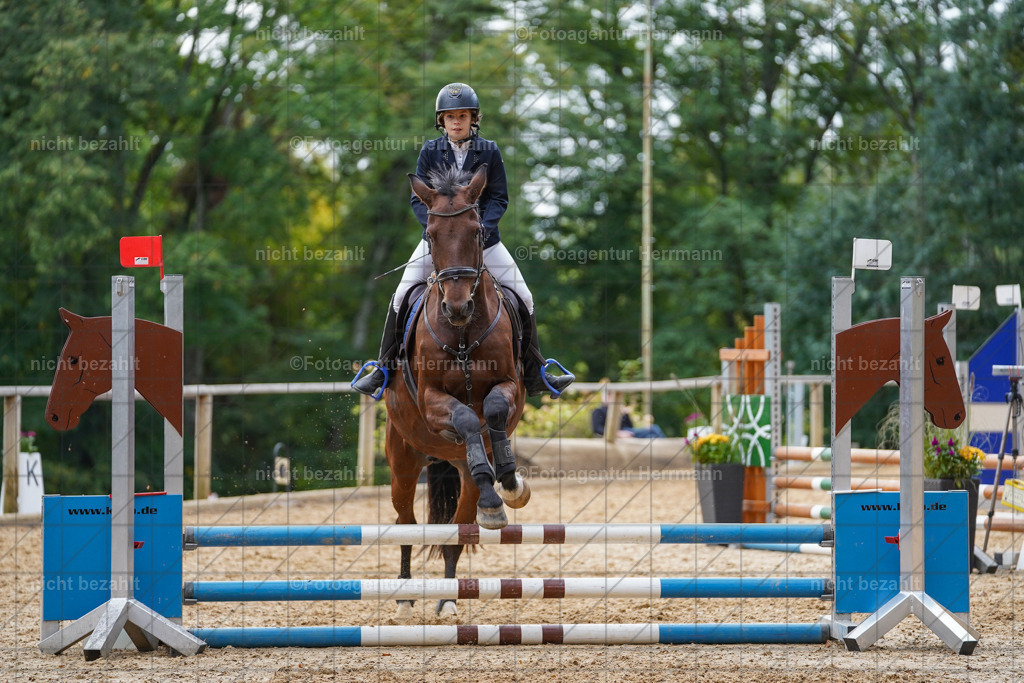 20231008-SN_01168 | Professionelle Turnier- und Reitsportfotografie - mit dem Finger am Auslöser. Pferdebilder aus dem Reitsport von den Turnierfotografen  Bayern , Pferdefotograf Bayern, Pferdeshooting Turnierbilder, Hochzeitsfotograf, Eventfotograf, Hochzeitsbilder