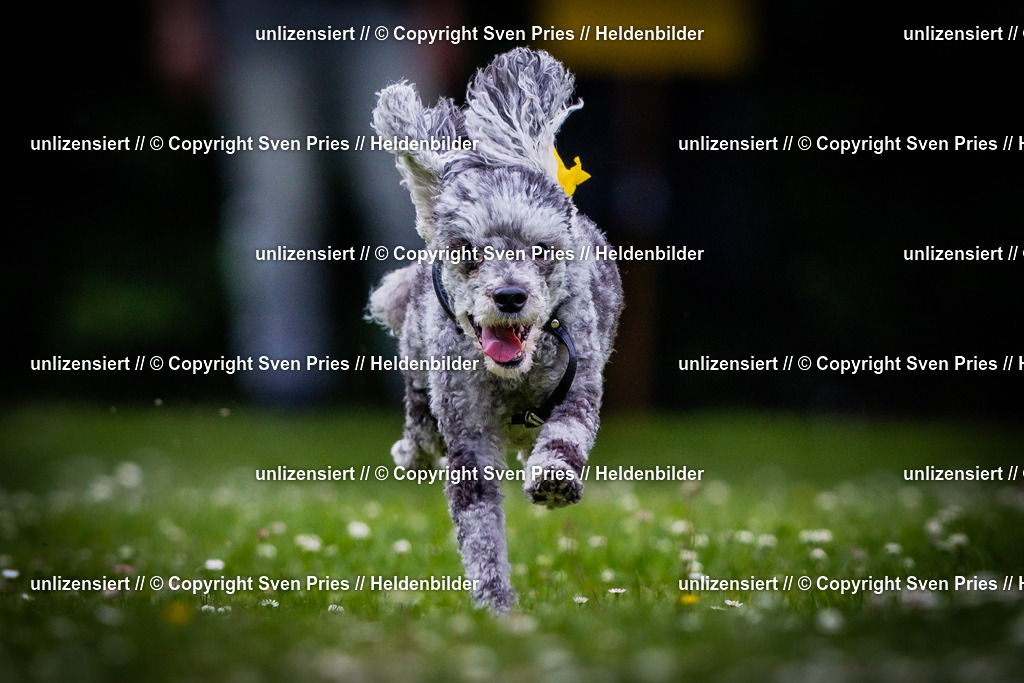 Sven Pries | 2025-05-29 - Pudelrennen KA-Durlach - Realisiert mit Pictrs.com