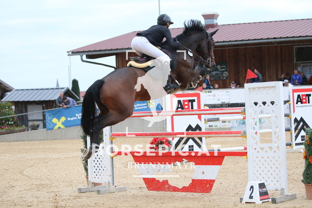 DL2Q6237 | Willkommen bei Brunnmayr - Design & Fotografie – Ihrem Spezialisten für Reitturniere und Pferdeveranstaltungen in Oberösterreich, Salzburg und Bayern! Seit über 17 Jahren sind wir leidenschaftlich dabei.