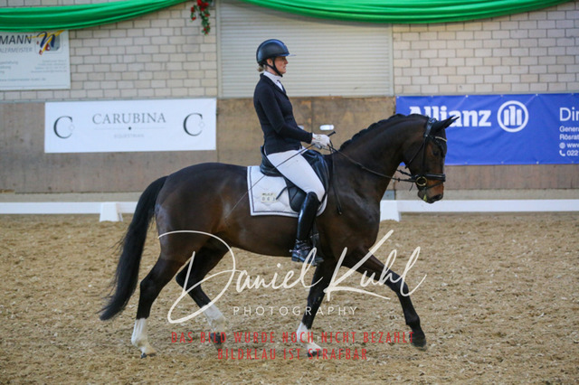 IMG_2851 | Turnierfotos kaufen im Webshop von Daniel Kuhl Photography – entdecke professionelle Reitsportfotos aus Turnieren & Events. Hochwertige Turnierbilder online bestellen & sichern. Jetzt Fotos von Reitsportturnieren kaufen!