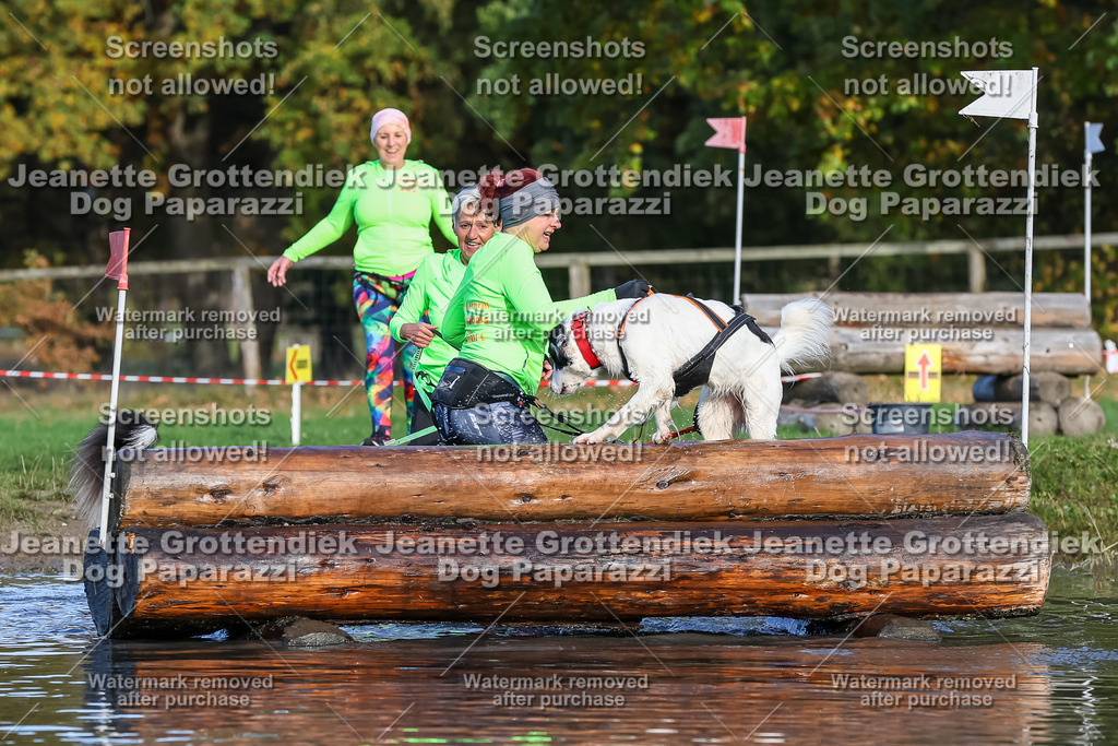Dog Paparazzi - Strongdog 10-25-8492 | Dog Paparazzi Jeanette Grottendiek Fotografie & Videografie - Realisiert mit Pictrs.com