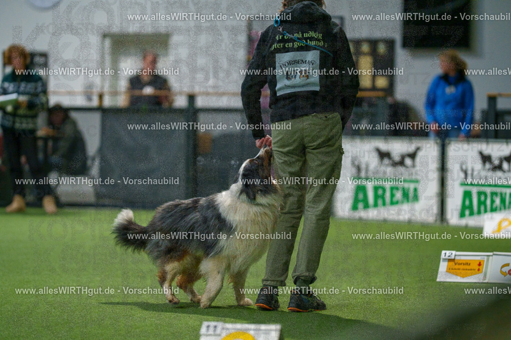 7R504734 | Professionelle Tierfotografie in Mönchengladbach von Daniel Wirth (allesWIRTHgut). Liebevolle & natürliche Bilder von Hunden & Katzen für unvergessliche Erinnerungen.
