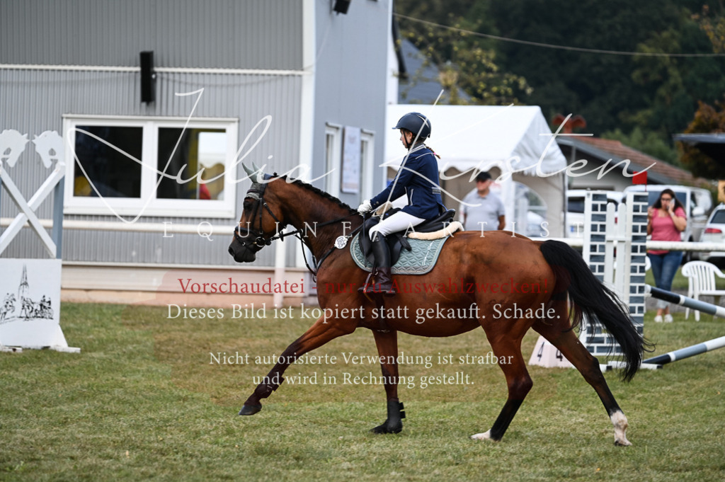 DSC_5674 | Pferde- und Turnierfotografie in Westsachsen. Pferdeportraits, Auftragszeichnungen und intuitive Kunst.