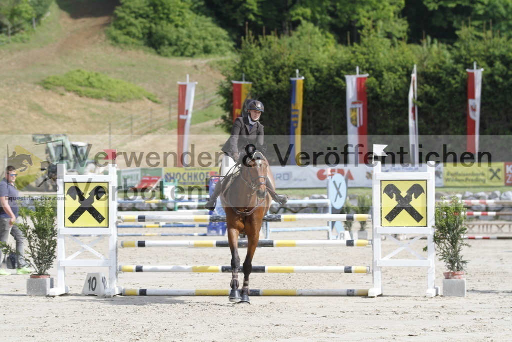 _MG_8874 | equestrian-live-com