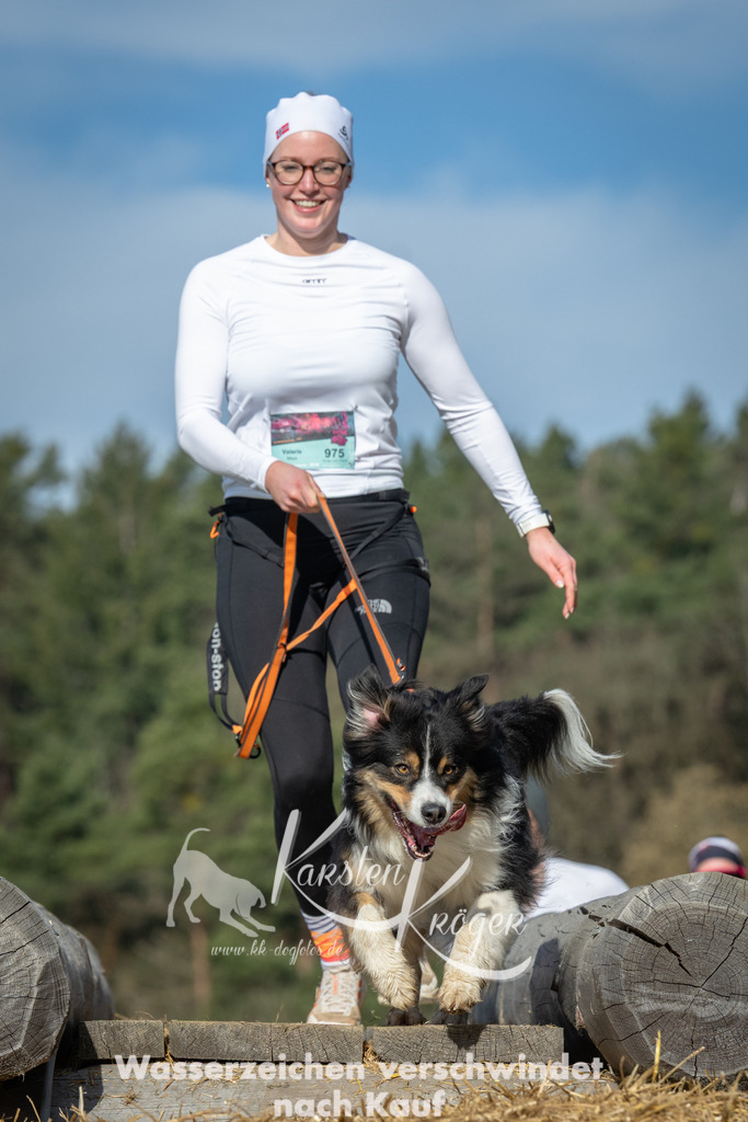 0948_ZZ96232 | kk-dogfotos