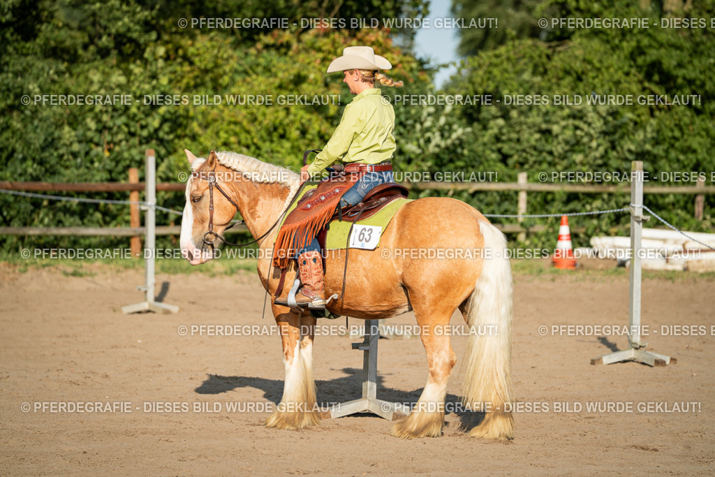 DSC05636 | Pferdegrafie