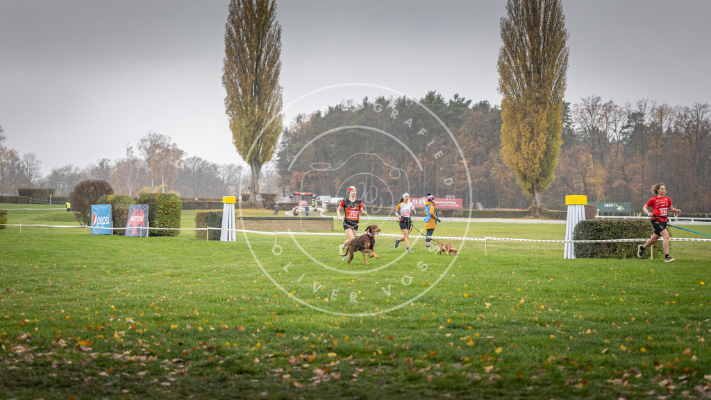 CaniXpix_DV3A8890 | Hundefotografie, Tierfotograf, Pfotenfotografie, Fotoshooting Hund, Hunde Portrait, Hundesport, Hundeportraits, Heideshooting, Hunde, Sportfotograf, Hundefotograf, Turnierhundsport, THS,  - Realisiert mit Pictrs.com