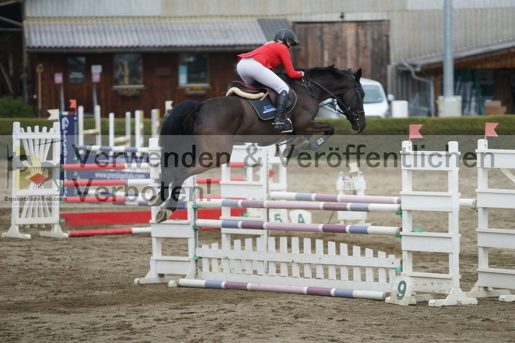 DSC01381 | equestrian-live-com