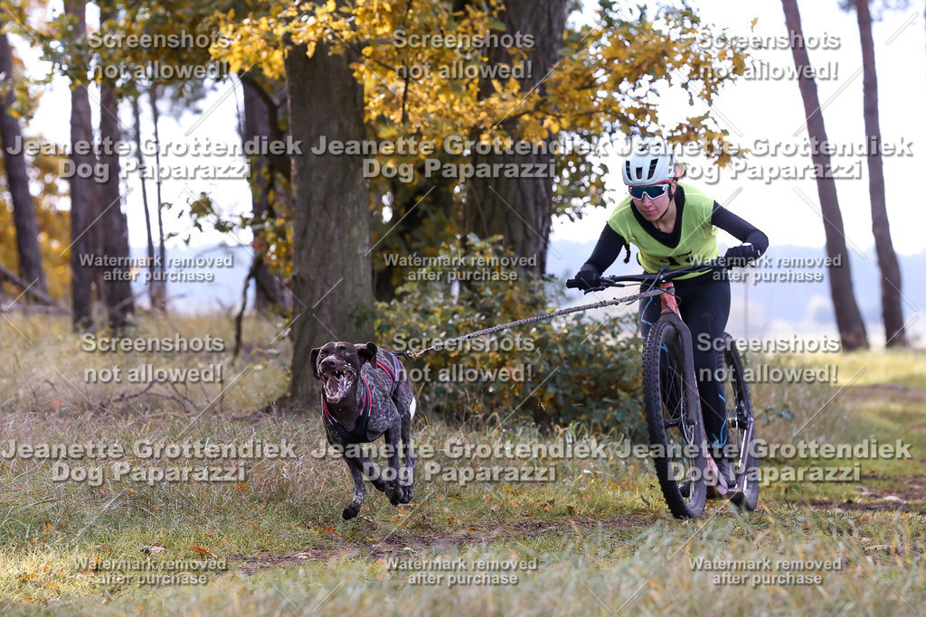 Dog Paparazzi - Elsholz 25 -178 | Dog Paparazzi Jeanette Grottendiek Fotografie & Videografie - Realisiert mit Pictrs.com