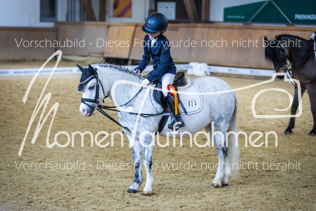 Sth-WBO25-RWBST-027 | MomenTaufnahmen Pferdesportfotos