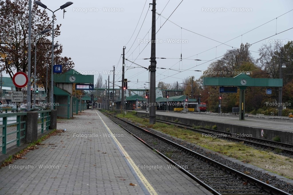 20221109 Bregenz | Fotografie Woldron