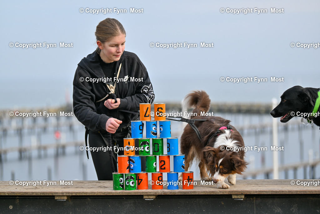 DSC_6222 | Hallo und herzlich Willkommen auf meiner Shop-Seite Fynn Most.

Ich wünsche Dir viel Spaß beim stöbern durch die Bilder, wenn Du Fragen hast oder Bilder vermisst, kannst du mir gerne eine Nachricht schreiben. - Realisiert mit Pictrs.com