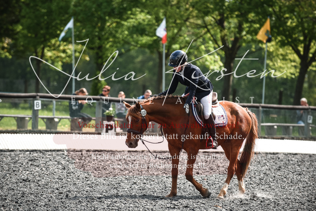 DSC_9063 | Pferde- und Turnierfotografie in Westsachsen. Pferdeportraits, Auftragszeichnungen und intuitive Kunst.