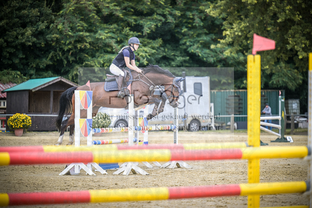 DOS_8820 | Entdecke hochwertige Reitturnierfotos von Foto Oger. Professionell, emotional und authentisch – jetzt Lieblingsmomente im Shop bestellen.Deutschlandweite Turnierfotografie. - Realisiert mit Pictrs.com