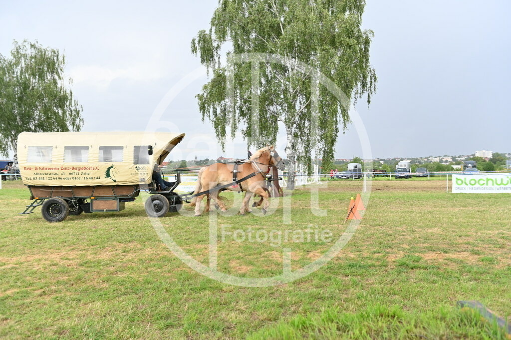 DSC_4560 | sattelsport - Realisiert mit Pictrs.com