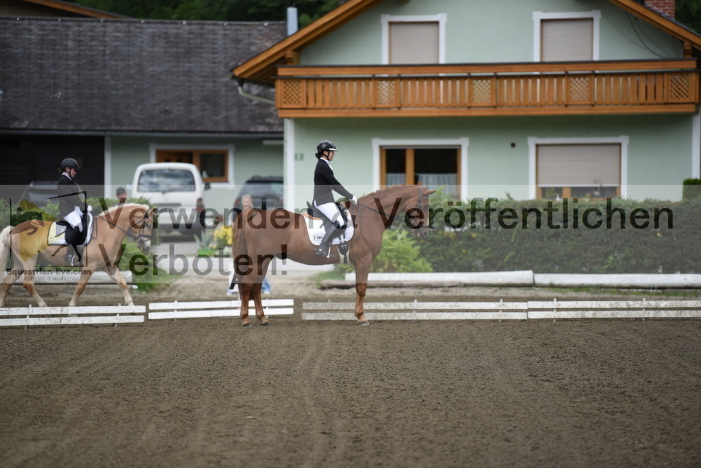 DSC_3626 | equestrian-live-com