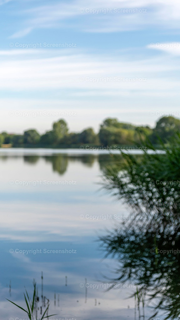 LED_C_Lake_Bokeh9 | screenshotz - Realisiert mit Pictrs.com