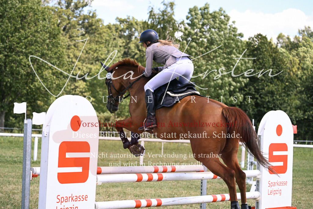 DSC_0229 | Pferde- und Turnierfotografie in Westsachsen. Pferdeportraits, Auftragszeichnungen und intuitive Kunst.