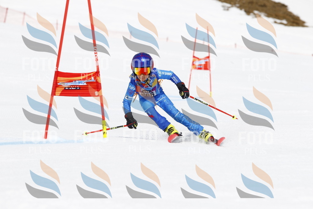 _U3G6723 | holidayphoto