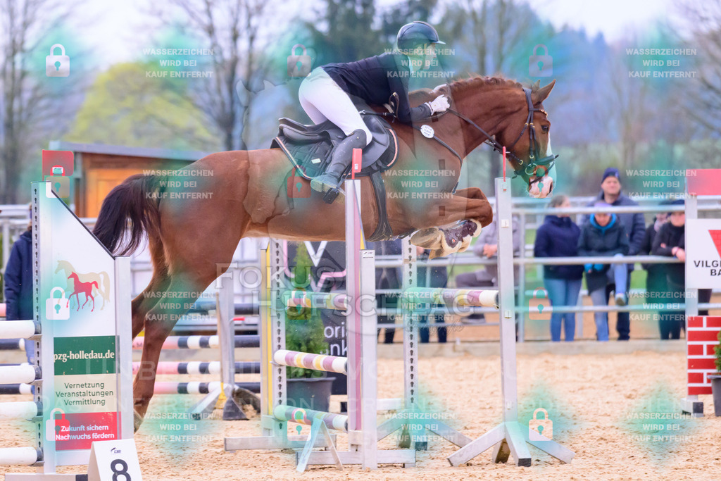 10042026-Mammendorf-Prfg17-0168 | Fokus Hufschlag Fotografie - Realisiert mit Pictrs.com