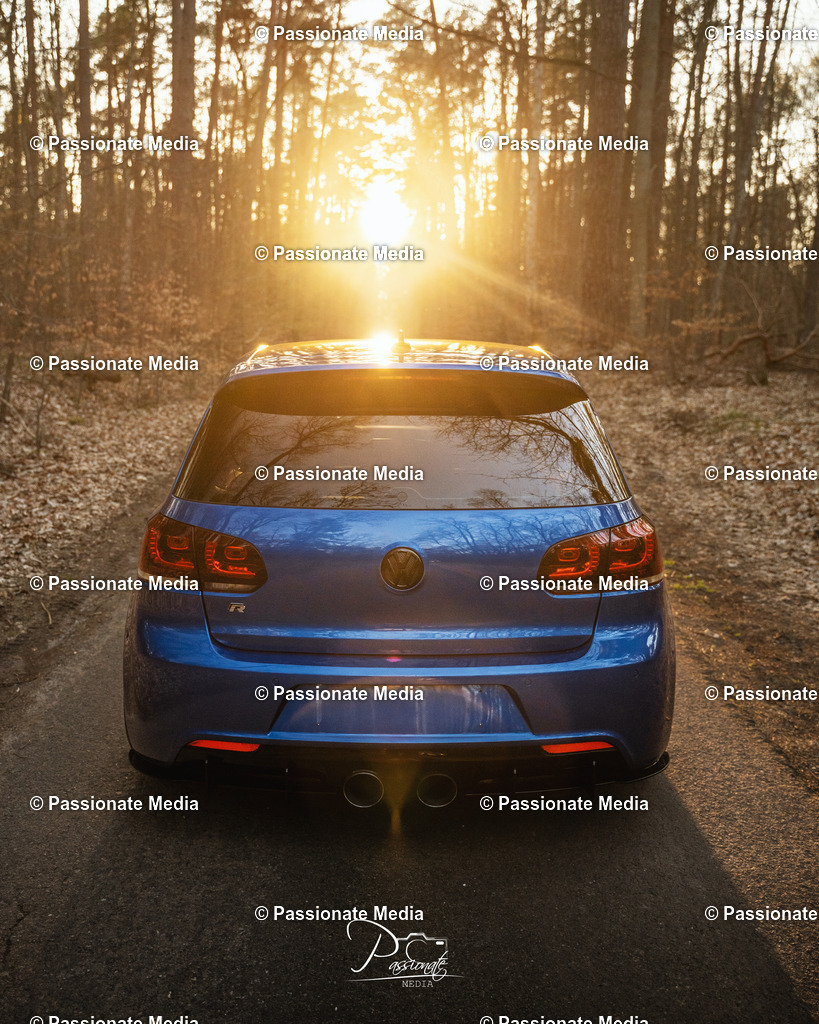 DSC05189 | Passionate Media, dein Fotograf aus Brandenburg, Märkisch Oderland, im Bereich Motorsport, Autos und Motorräder sowie Events und auch Hunde. Shootings oder auch Eventbegleitungen können bei mir gebucht we