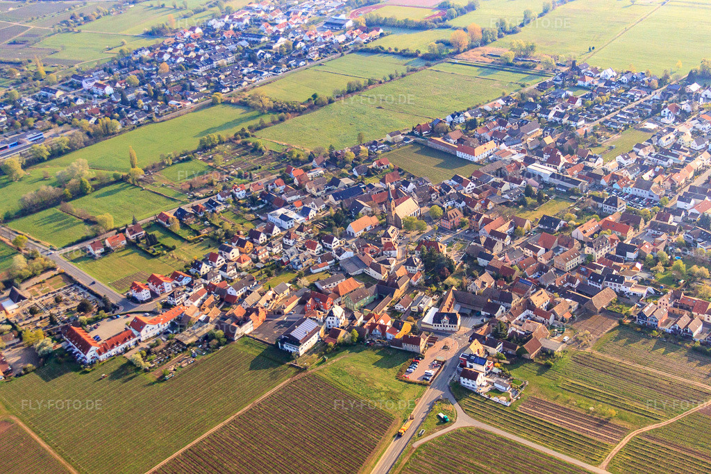 Luftbild: St. Martin in Ruppertsberg im Bundesland Rheinland-Pfalz in Deutschland. Foto: IMG_49625.jpg vom 13.04.2012 durch Werner Riehm/FLY-FOTO.de
