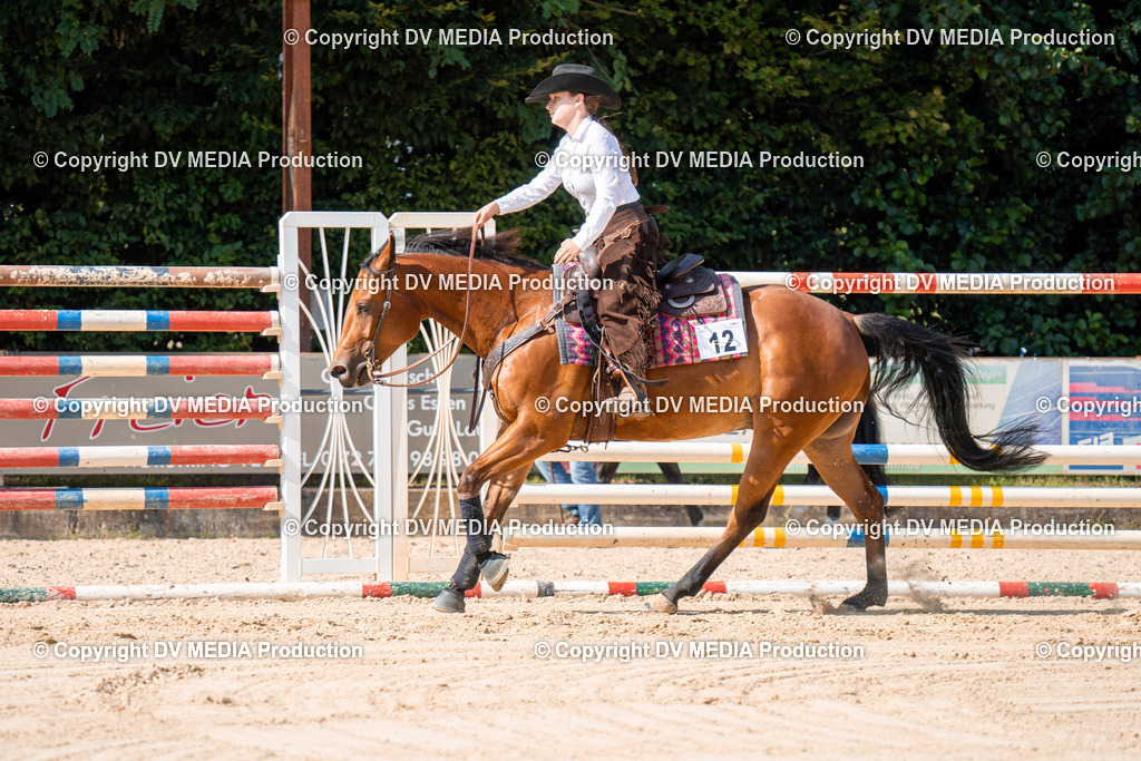 ZH100246 | dv-media-shop - Realisiert mit Pictrs.com