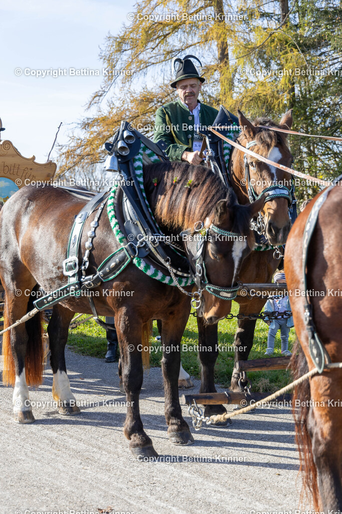 LBT24-1295 | foto-bettina-krinner - Realisiert mit Pictrs.com