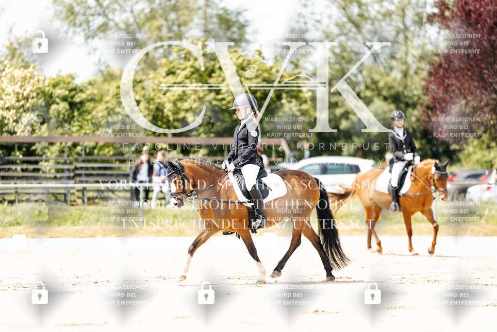CK901666 | Turnierfotografie Pferdefotografie Trier Rheinland-Pfalz Pferdesport Reitsport Tierfotografie Sportfotografie Pferdevideo Pferdevideografie Equestrianvideography equestrianphotography  - Realisiert mit Pictrs.com