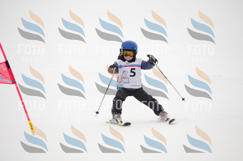 B9518 | holidayphoto