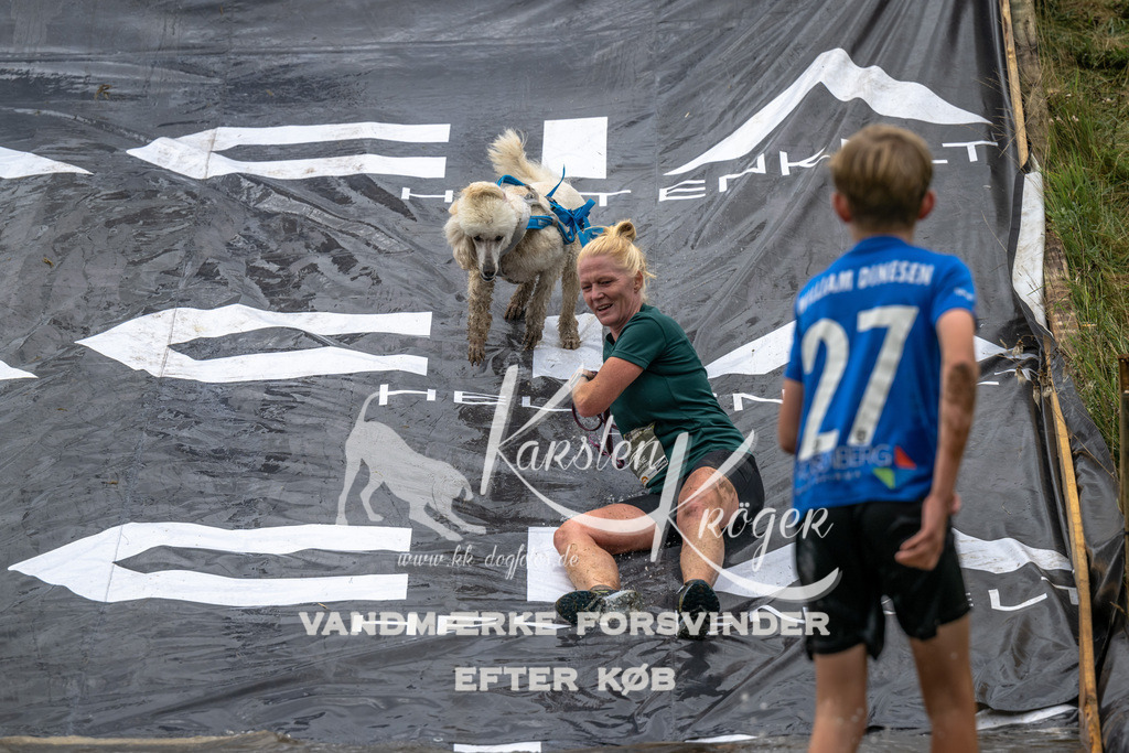 1339_ZZ92771 | kk-dogfotos