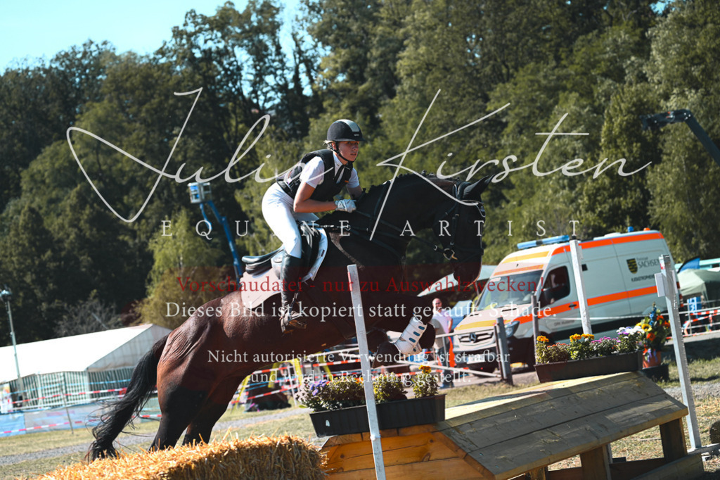 DSC_8355 | Pferde- und Turnierfotografie in Westsachsen. Pferdeportraits, Auftragszeichnungen und intuitive Kunst.