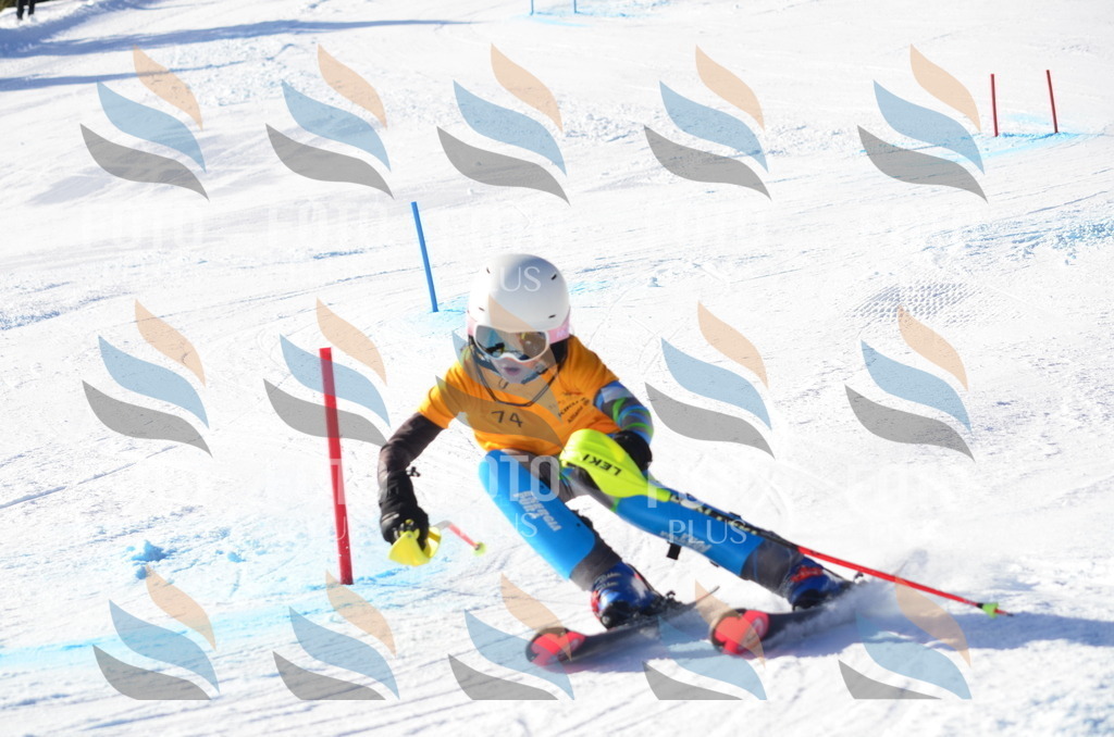 C5918 | holidayphoto