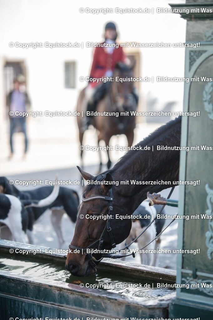 20251011_Jagd-Marbach_0647 | Foto: Thomas Hartig