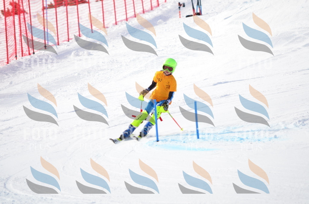 C7805 | holidayphoto