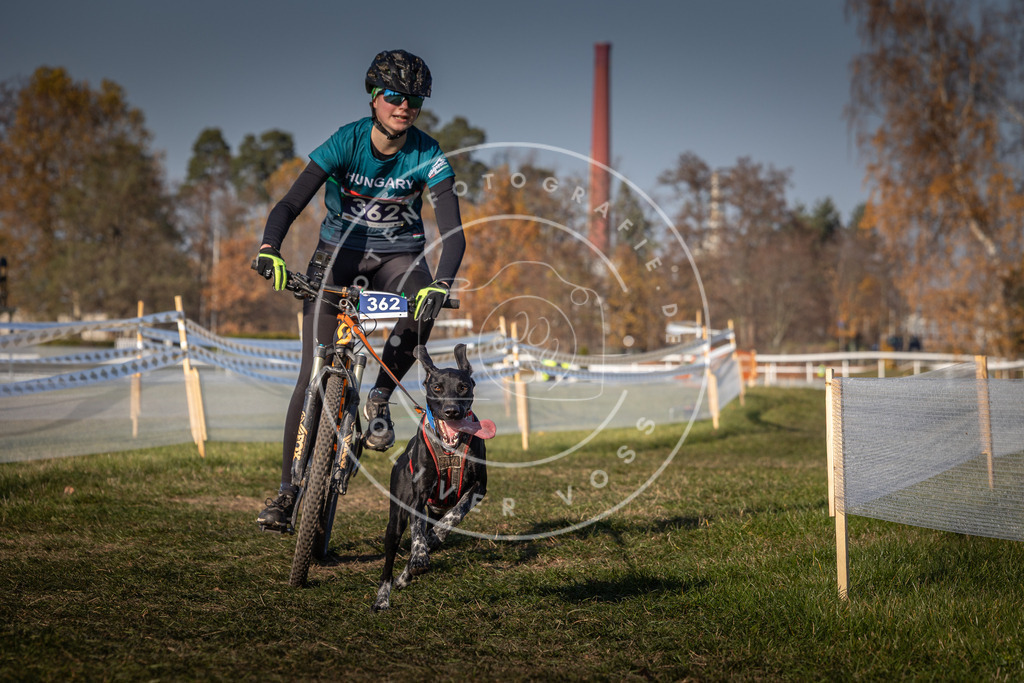 CaniXpix_0L8A8200 | Hundefotografie, Tierfotograf, Pfotenfotografie, Fotoshooting Hund, Hunde Portrait, Hundesport, Hundeportraits, Heideshooting, Hunde, Sportfotograf, Hundefotograf, Turnierhundsport, THS,  - Realisiert mit Pictrs.com