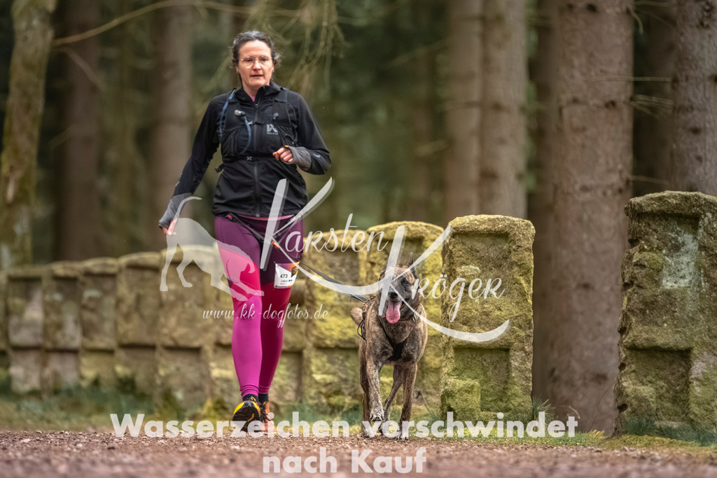 0818DZ6_3144 | kk-dogfotos