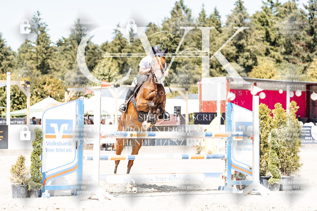 CK900542 | Turnierfotografie Pferdefotografie Trier Rheinland-Pfalz Pferdesport Reitsport Tierfotografie Sportfotografie Pferdevideo Pferdevideografie Equestrianvideography equestrianphotography  - Realisiert mit Pictrs.com