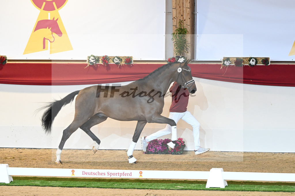 Kat-Nr. 55 For Romance I_Haefner_1230241 | hf-fotografie - Realisiert mit Pictrs.com