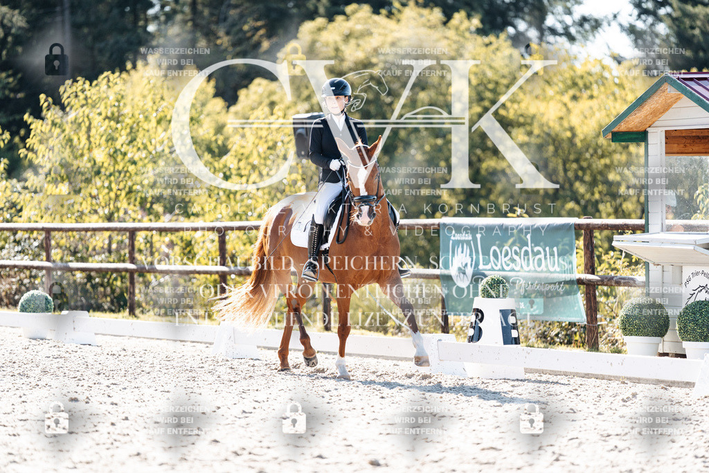 CK905991 | Turnierfotografie Pferdefotografie Trier Rheinland-Pfalz Pferdesport Reitsport Tierfotografie Sportfotografie Pferdevideo Pferdevideografie Equestrianvideography equestrianphotography  - Realisiert mit Pictrs.com
