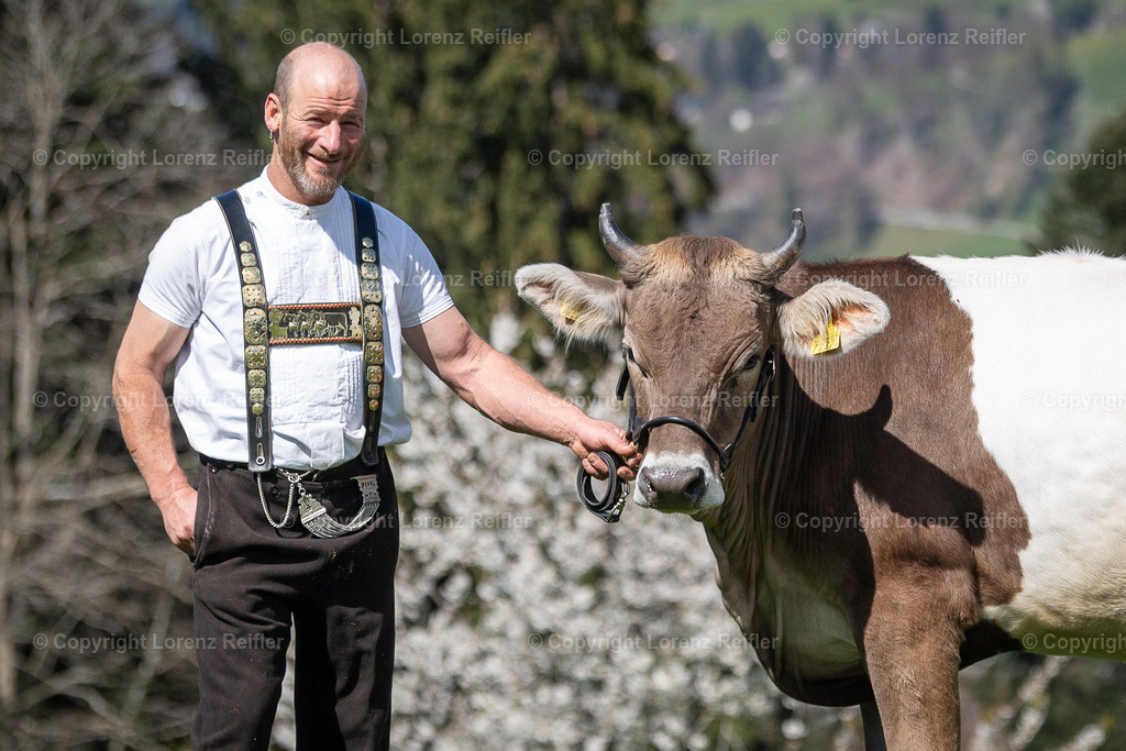 Schwingen -  Lebendpreise Schwägalp 2025 | Schwägalp, 19.4.25, Schwingen - Lebendpreise Schwägalp.