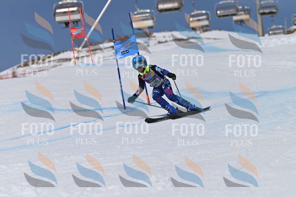 BGV_6456 | holidayphoto