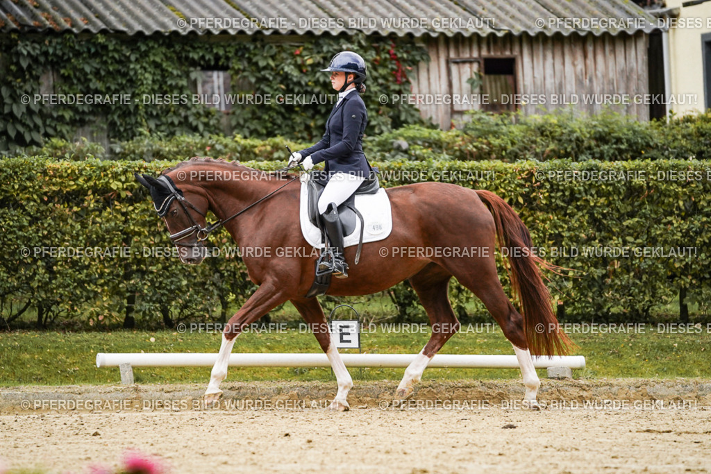 DSC06811 | Pferdegrafie