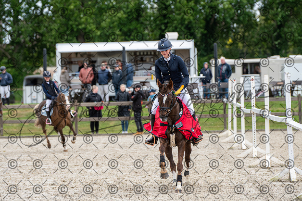 KPT_8133 | andre_photographic